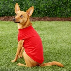 Frisco Basic Dog & Cat T-Shirt -Frisco Pet Hub 139387 PT4. AC SS1800 V1541453855