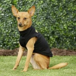 Frisco Security Dog & Cat T-Shirt -Frisco Pet Hub 139501 PT5. AC SS1800 V1624603968