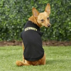 Frisco Security Dog & Cat T-Shirt -Frisco Pet Hub 139501 PT6. AC SS1800 V1624610564