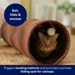 Frisco 35-in Foldable Crinkle Play Tunnel With 1 Window -Frisco Pet Hub 140166 PT3. AC SS1800 V1695670685