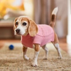 Frisco Dog & Cat Cable Knitted Sweater -Frisco Pet Hub 144254 PT5. AC SS1800 V1541456525
