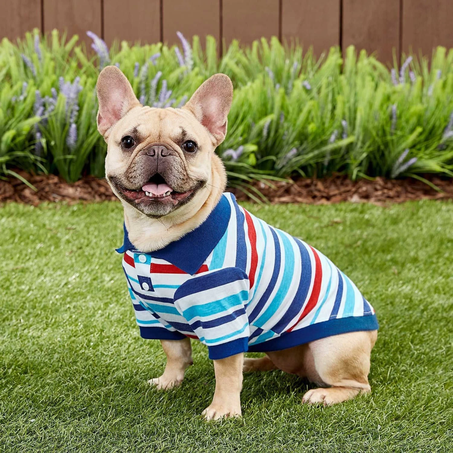 Frisco Striped Dog & Cat Polo Shirt, Red & Blue Frisco Striped Dog & Cat Polo Shirt, Red & Blue -Frisco Pet Hub 153590 MAIN. AC SS1800 V1674158971