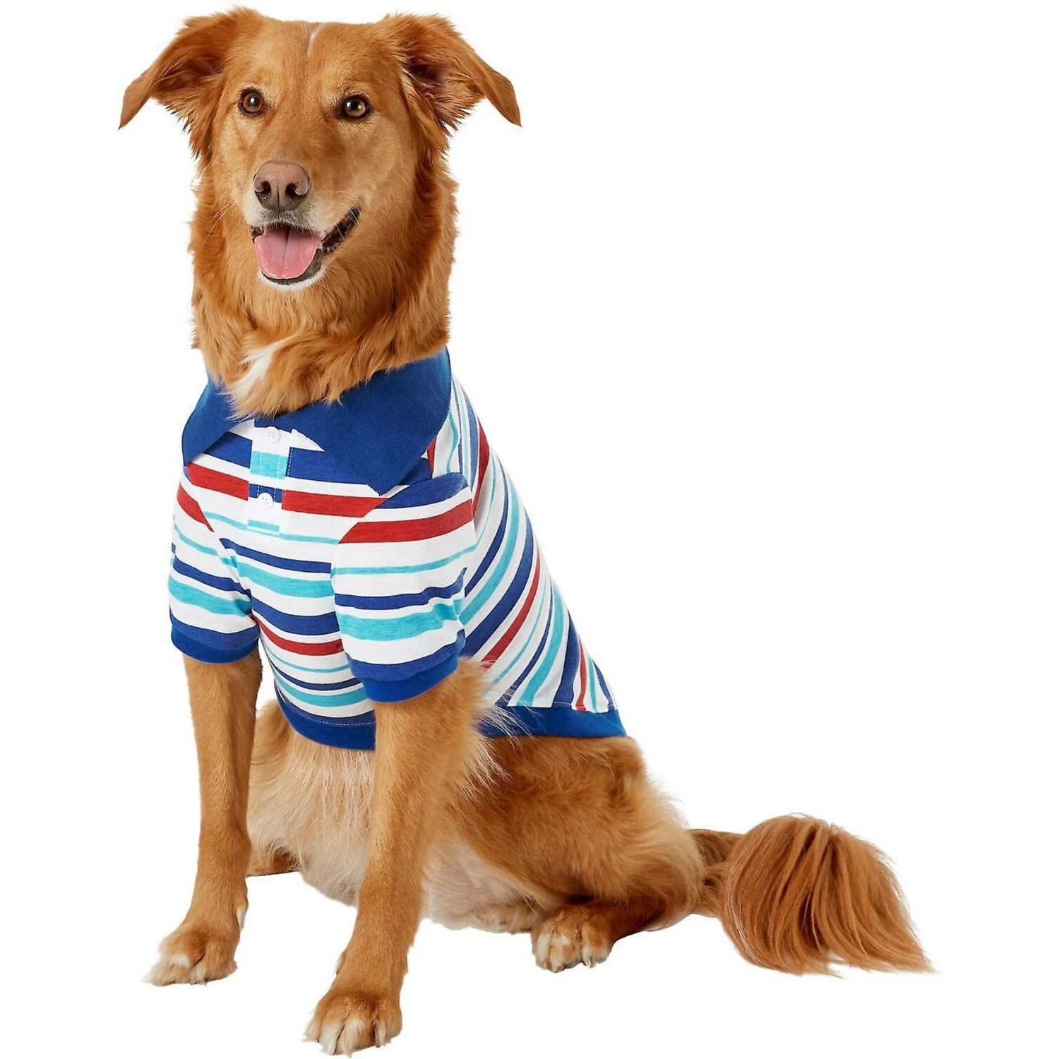 Frisco Striped Dog & Cat Polo Shirt, Red & Blue Frisco Striped Dog & Cat Polo Shirt, Red & Blue -Frisco Pet Hub 153590 PT2. AC SS1800 V1624902150