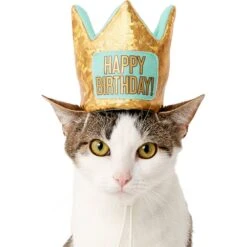 Frisco Happy Birthday Dog & Cat Crown 2 Frisco Happy Birthday Dog & Cat Crown -Frisco Pet Hub 153665 PT2. AC SS1800 V1551230979