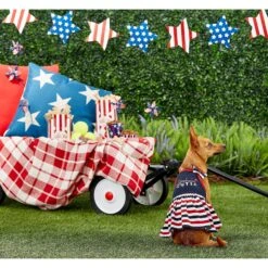 Frisco American Cutie Dog & Cat Sundress -Frisco Pet Hub 153735 PT4. AC SS1800 V1633126624
