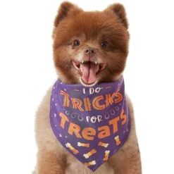 Frisco I Do Tricks For Treats Dog & Cat Bandana -Frisco Pet Hub 158938 PT3. AC SS1800 V1633075903