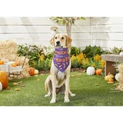 Frisco I Do Tricks For Treats Dog & Cat Bandana -Frisco Pet Hub 158938 PT4. AC SS1800 V1633069923