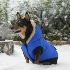 Frisco Heavyweight Anchorage Insulated Dog & Cat Parka -Frisco Pet Hub 160250 PT7. AC SS1800 V1567011259