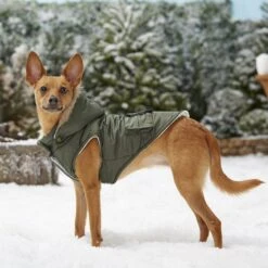 Frisco Mid-Heavyweight Portland Insulated Dog & Cat Parka -Frisco Pet Hub 160295 PT7. AC SS1800 V1567618265