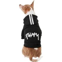 Frisco Püppy Dog Athletic Hoodie -Frisco Pet Hub 160342 PT2. AC SS1800 V1637689590