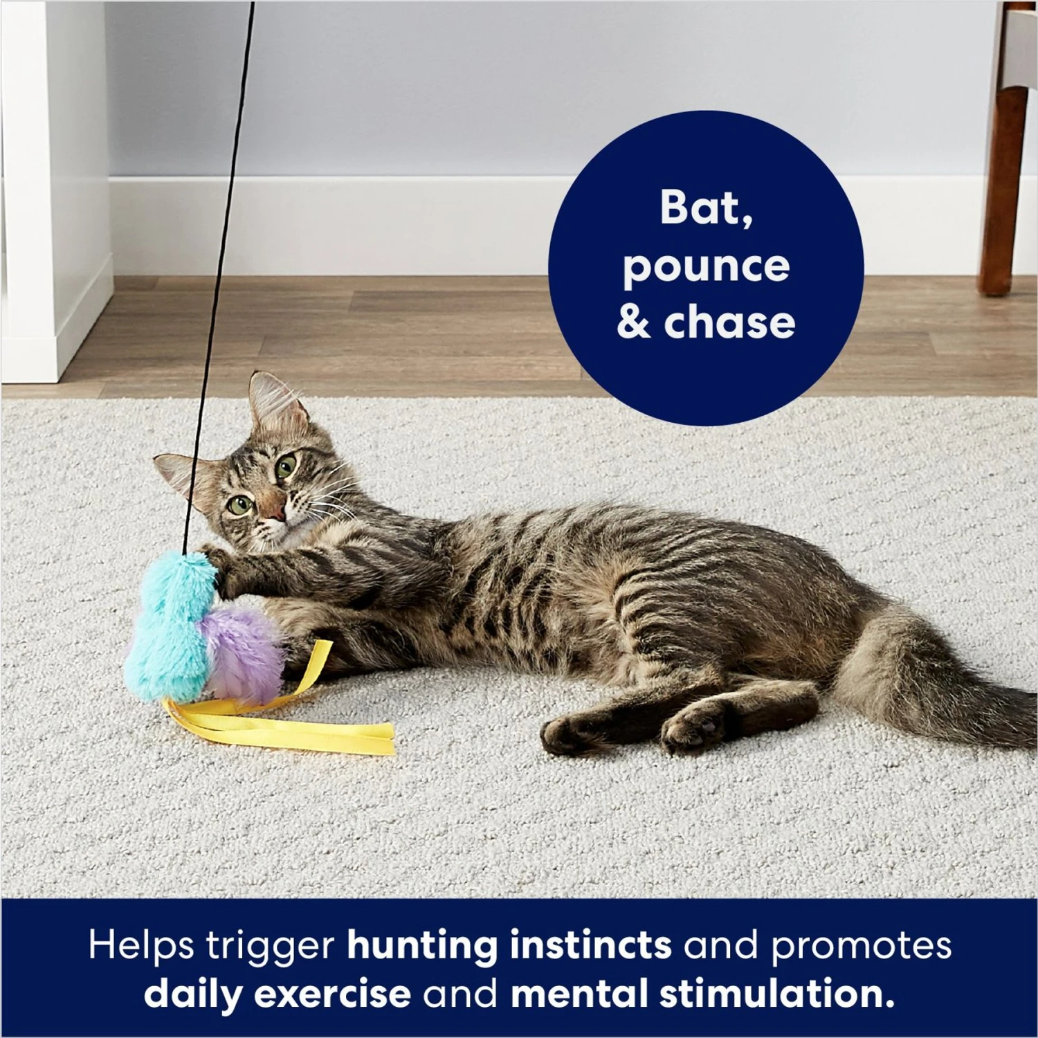 Frisco Bird with Feathers Teaser Wand Cat Toy with Catnip Frisco Bird With Feathers Teaser Wand Cat Toy With Catnip -Frisco Pet Hub 161199 PT2. AC SS1800 V1678723897