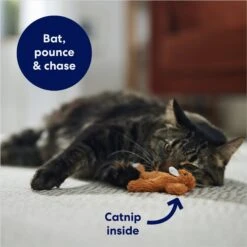 Frisco Squirrel Plush Cat Toy With Refillable Catnip -Frisco Pet Hub 161271 PT3. AC SS1800 V1678723897