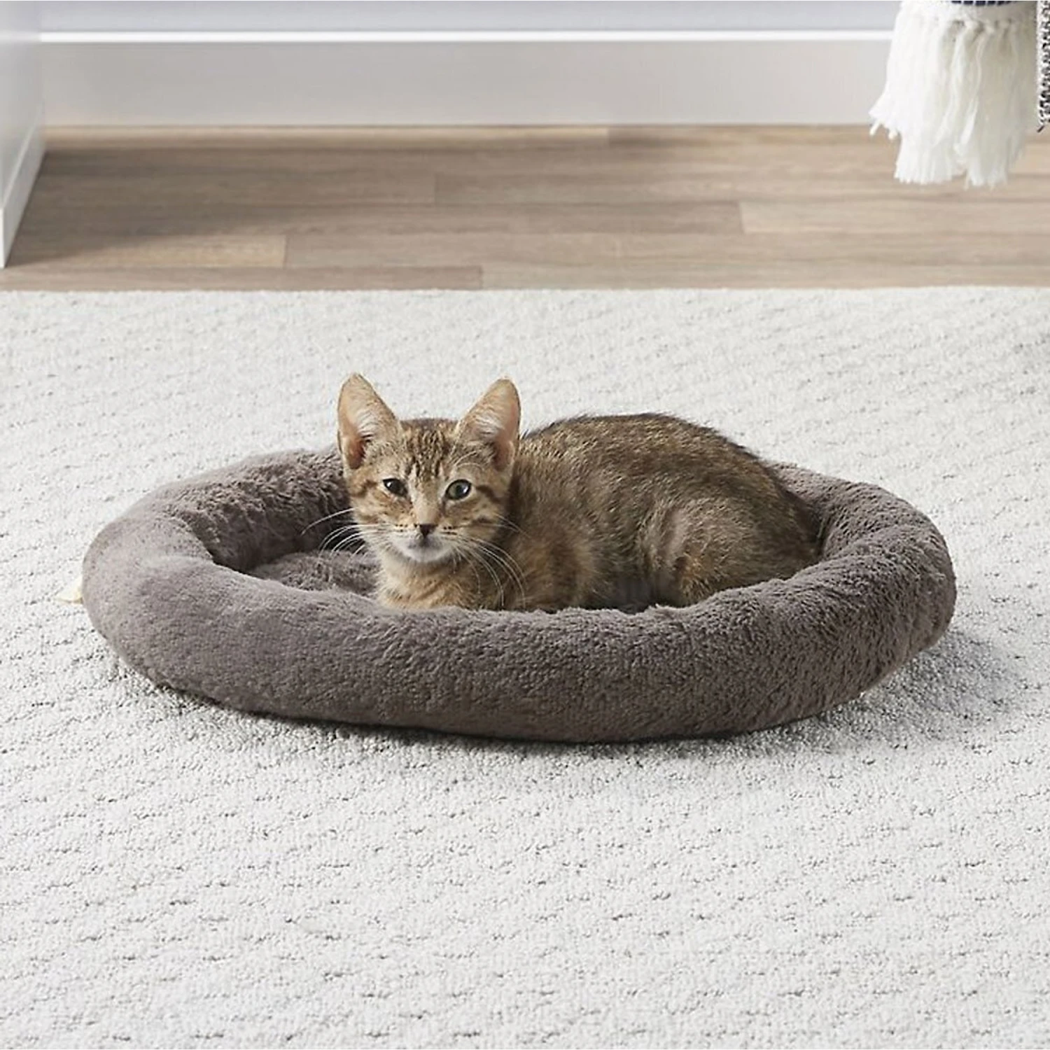 Frisco Self Warming Bolster Round Kitten Bed Frisco Self Warming Bolster Round Kitten Bed -Frisco Pet Hub 165315 Main. AC SS1800 V1576690675