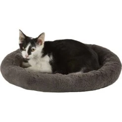 Frisco Self Warming Bolster Round Kitten Bed 2 Frisco Self Warming Bolster Round Kitten Bed -Frisco Pet Hub 165315 PT2. AC SS1800 V1568211141