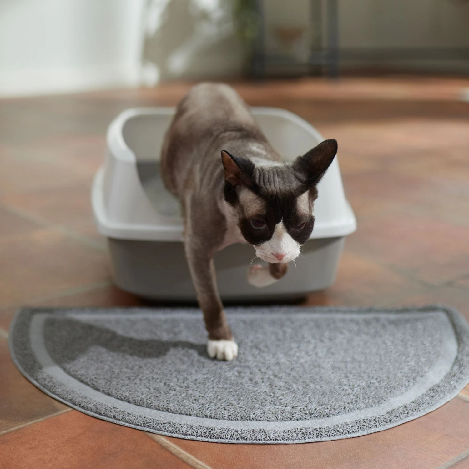 Frisco Half Moon Cat Litter Mat Frisco Half Moon Cat Litter Mat -Frisco Pet Hub 166302 PT3. AC SS1800 V1675280727