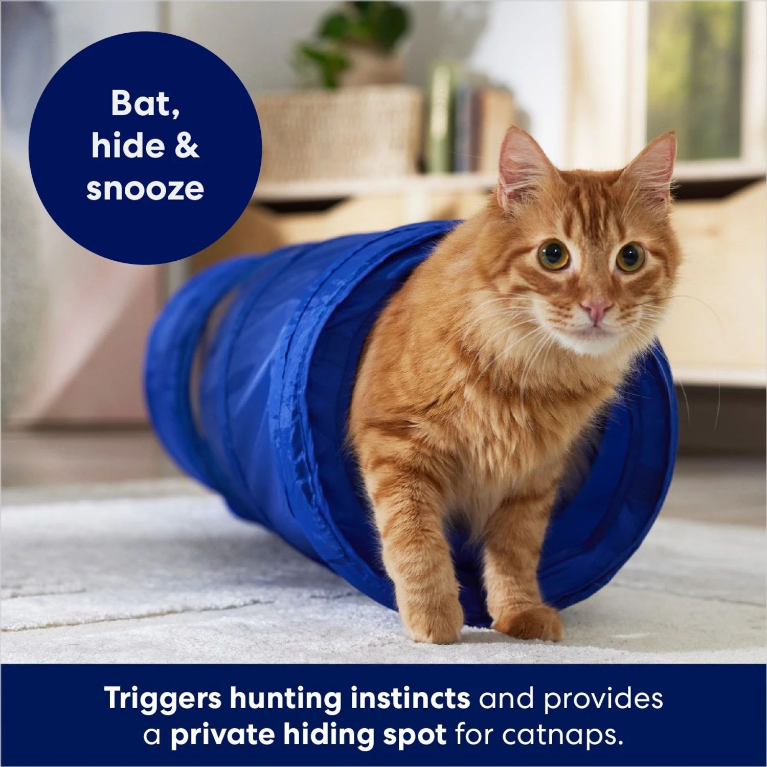 Frisco Foldable Play Tunnel with Mesh Cat Toy Frisco Foldable Play Tunnel With Mesh Cat Toy -Frisco Pet Hub 166385 PT2. AC SS1800 V1686580143