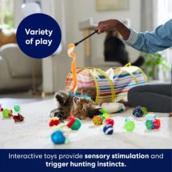 Frisco Plush, Teaser, Ball & Tunnel Variety Pack Cat Toy With Catnip -Frisco Pet Hub 169688 PT5. AC SS1800 V1691784246