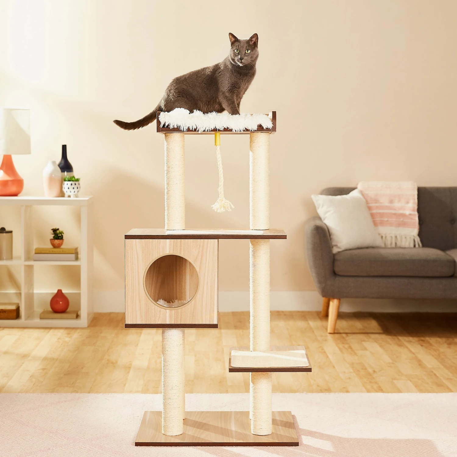 Frisco 47.5-in Modern Cat Tree & Condo Frisco 47.5-in Modern Cat Tree & Condo -Frisco Pet Hub 177904 MAIN. AC SS1800 V1584451135