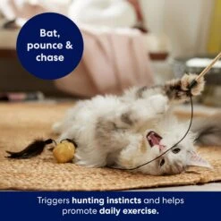 Frisco Sparkle Ball Teaser Wand Cat Toy With Catnip 3 Frisco Sparkle Ball Teaser Wand Cat Toy With Catnip -Frisco Pet Hub 183254 PT3. AC SS1800 V1695241915