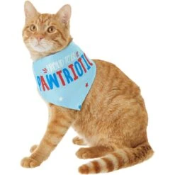 Frisco Pawtriot Dog & Cat Bandana -Frisco Pet Hub 191277 PT2. AC SS1800 V1584623825