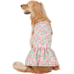 Frisco Pink Floral Dog & Cat Dress -Frisco Pet Hub 191295 PT2. AC SS1800 V1637653354