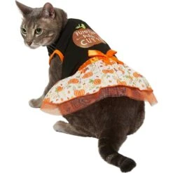 Frisco Pumpkin Patch Cutie Dog & Cat Dress -Frisco Pet Hub 215784 PT2. AC SS1800 V1632429076