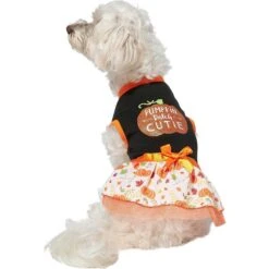 Frisco Pumpkin Patch Cutie Dog & Cat Dress -Frisco Pet Hub 215784 PT3. AC SS1800 V1632430875