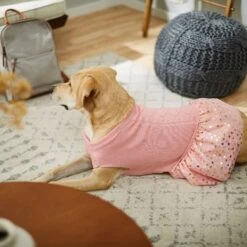 Frisco Cable Knit Dog & Cat Sweater Dress -Frisco Pet Hub 223706 PT7. AC SS1800 V1599921696