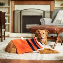 Frisco Pom Pom Bow Striped Dog & Cat Sweater Dress -Frisco Pet Hub 223722 PT7. AC SS1800 V1599564987