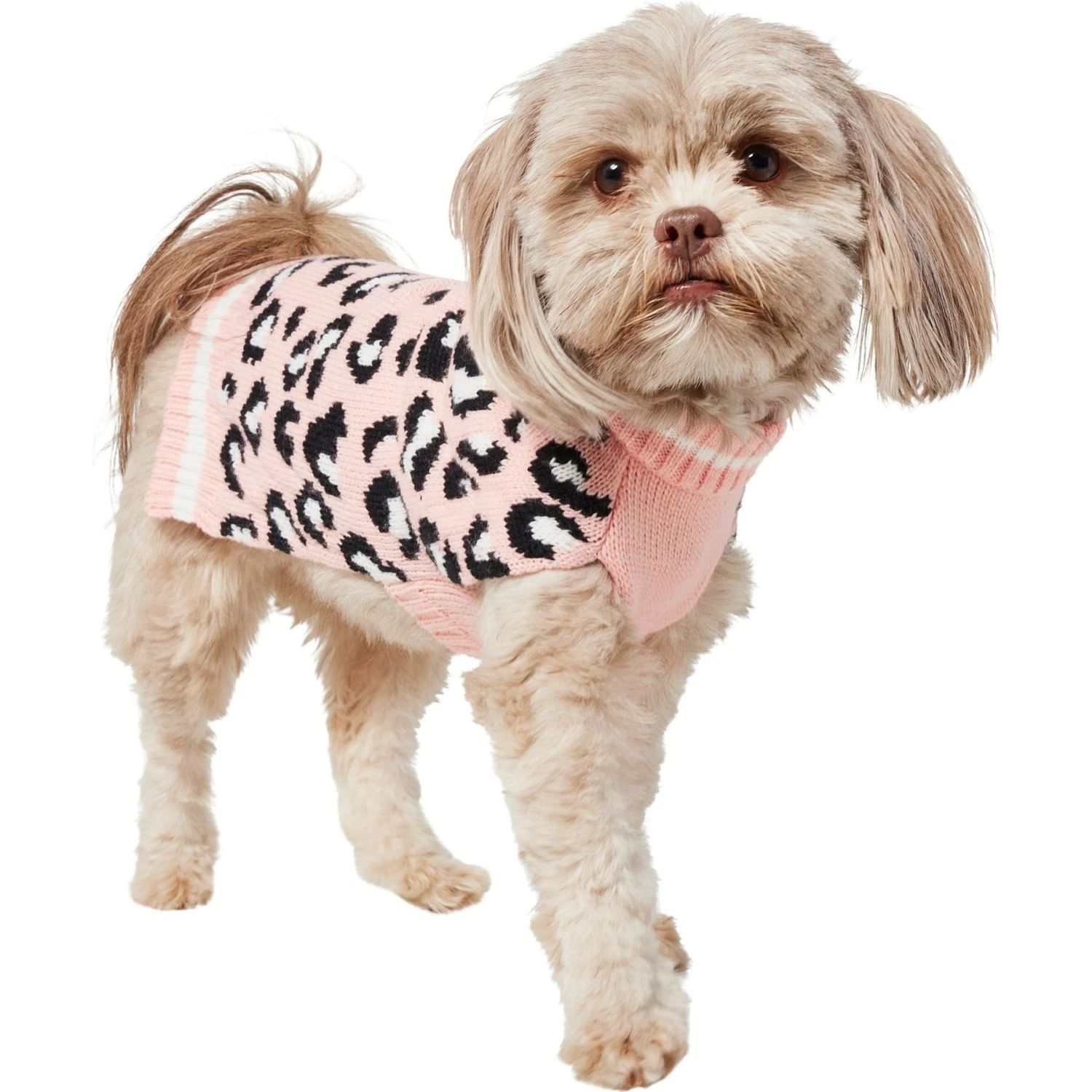 Frisco Leopard Print Dog & Cat Sweater Frisco Leopard Print Dog & Cat Sweater -Frisco Pet Hub 223755 PT2. AC SS1800 V1599500522