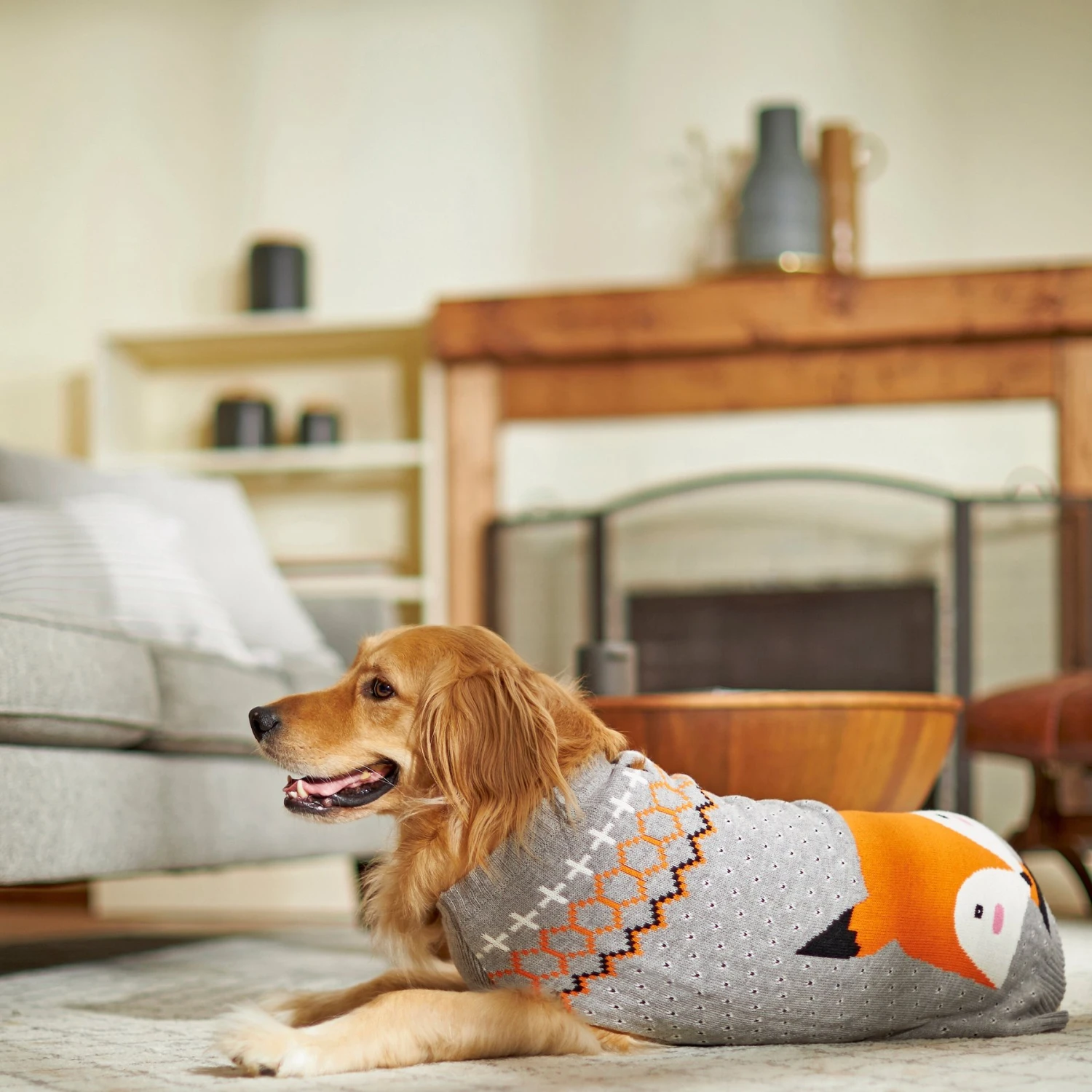 Frisco Fox Dog & Cat Sweater Frisco Fox Dog & Cat Sweater -Frisco Pet Hub 223811 PT7. AC SS1800 V1599565288