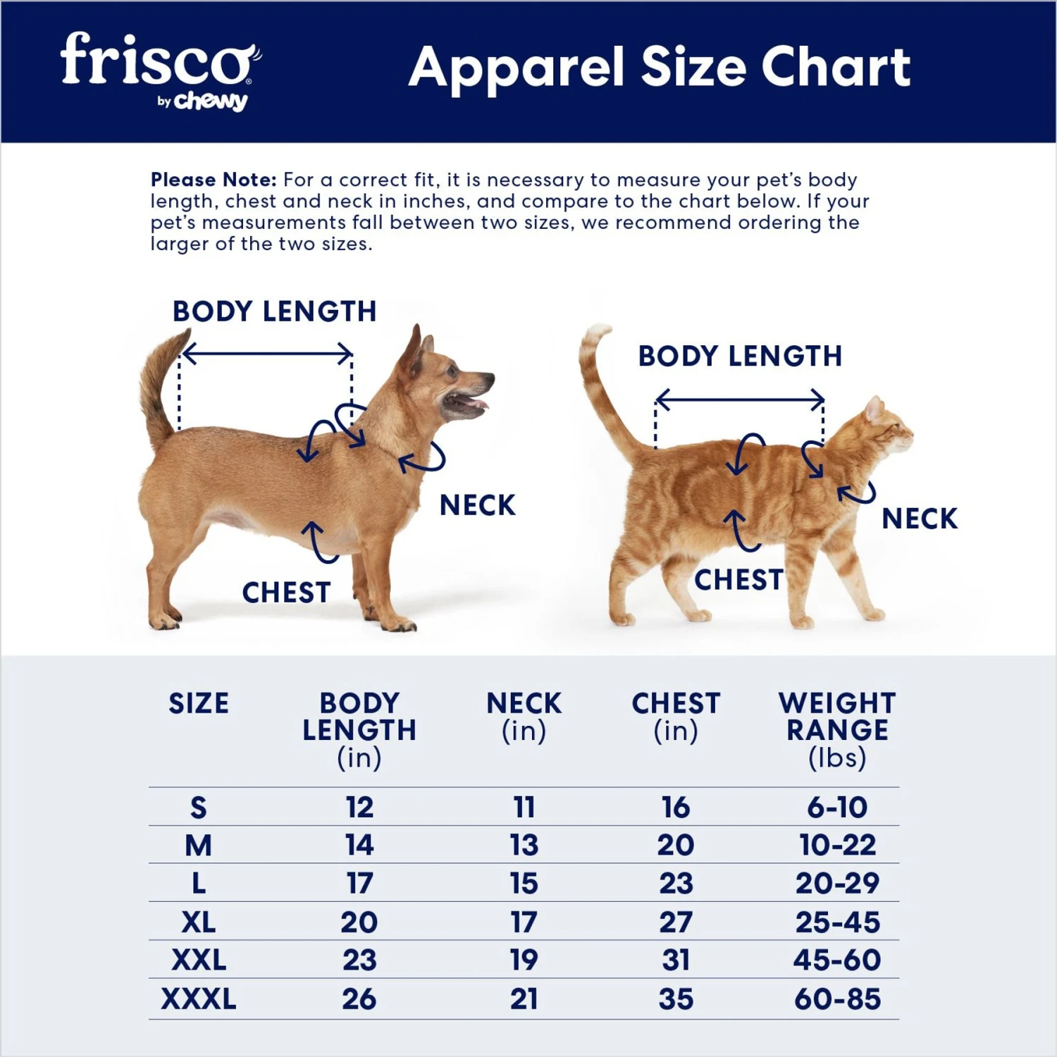 Frisco Lightweight Insulated Bomber Dog & Cat Jacket Frisco Lightweight Insulated Bomber Dog & Cat Jacket -Frisco Pet Hub 223914 PT1. AC SS1800 V1692215961