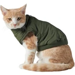 Frisco Lightweight Insulated Bomber Dog & Cat Jacket 2 Frisco Lightweight Insulated Bomber Dog & Cat Jacket -Frisco Pet Hub 223914 PT2. AC SS1800 V1599480960