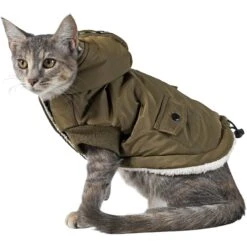 Frisco Mid-Heavyweight Love Insulated Dog & Cat Coat -Frisco Pet Hub 224034 PT2. AC SS1800 V1599498998