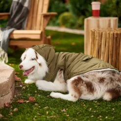 Frisco Mid-Heavyweight Love Insulated Dog & Cat Coat -Frisco Pet Hub 224034 PT7. AC SS1800 V1601578266