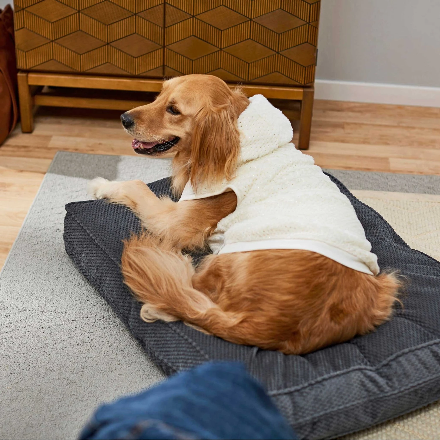 Frisco Plush Fur Dog & Cat Hoodie Frisco Plush Fur Dog & Cat Hoodie -Frisco Pet Hub 224209 PT7. AC SS1800 V1637685435