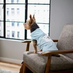 Frisco Mommy's Little Bear Dog & Cat Hoodie -Frisco Pet Hub 224272 PT7. AC SS1800 V1599924073