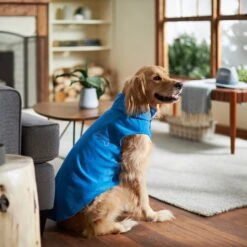 Frisco Ultra Lightweight Basic Dog & Cat Fleece Vest -Frisco Pet Hub 224316 PT7. AC SS1800 V1599924439