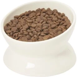 Frisco Double-Sided Ceramic Elevated Cat Bowl -Frisco Pet Hub 232081 PT6. AC SS1800 V1684760471