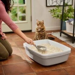 Frisco Tofu Clumping Cat Litter -Frisco Pet Hub 232117 PT4. AC SS1800 V1659546420