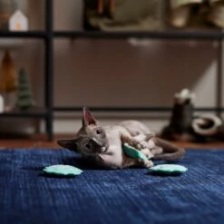 Frisco Snowflake Plush Cat Toy With Catnip, 3 Count 2 Frisco Snowflake Plush Cat Toy With Catnip, 3 Count -Frisco Pet Hub 233285 PT3. AC SS1800 V1661874178