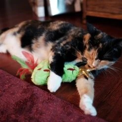 Frisco Holiday Christmas Tree Plush Kicker Cat Toy With Catnip 2 Frisco Holiday Christmas Tree Plush Kicker Cat Toy With Catnip -Frisco Pet Hub 233305 PT2. AC SS1800 V1602172376