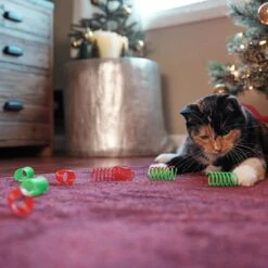 Frisco Holiday Springs Cat Toy, 10 Count -Frisco Pet Hub 233307 PT2. AC SS1800 V1602172363