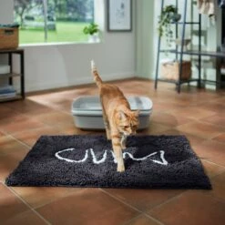 Frisco Microfiber Chenille Fish Bone Litter Mat 3 Frisco Microfiber Chenille Fish Bone Litter Mat -Frisco Pet Hub 236242 PT3. AC SS1800 V1676556249