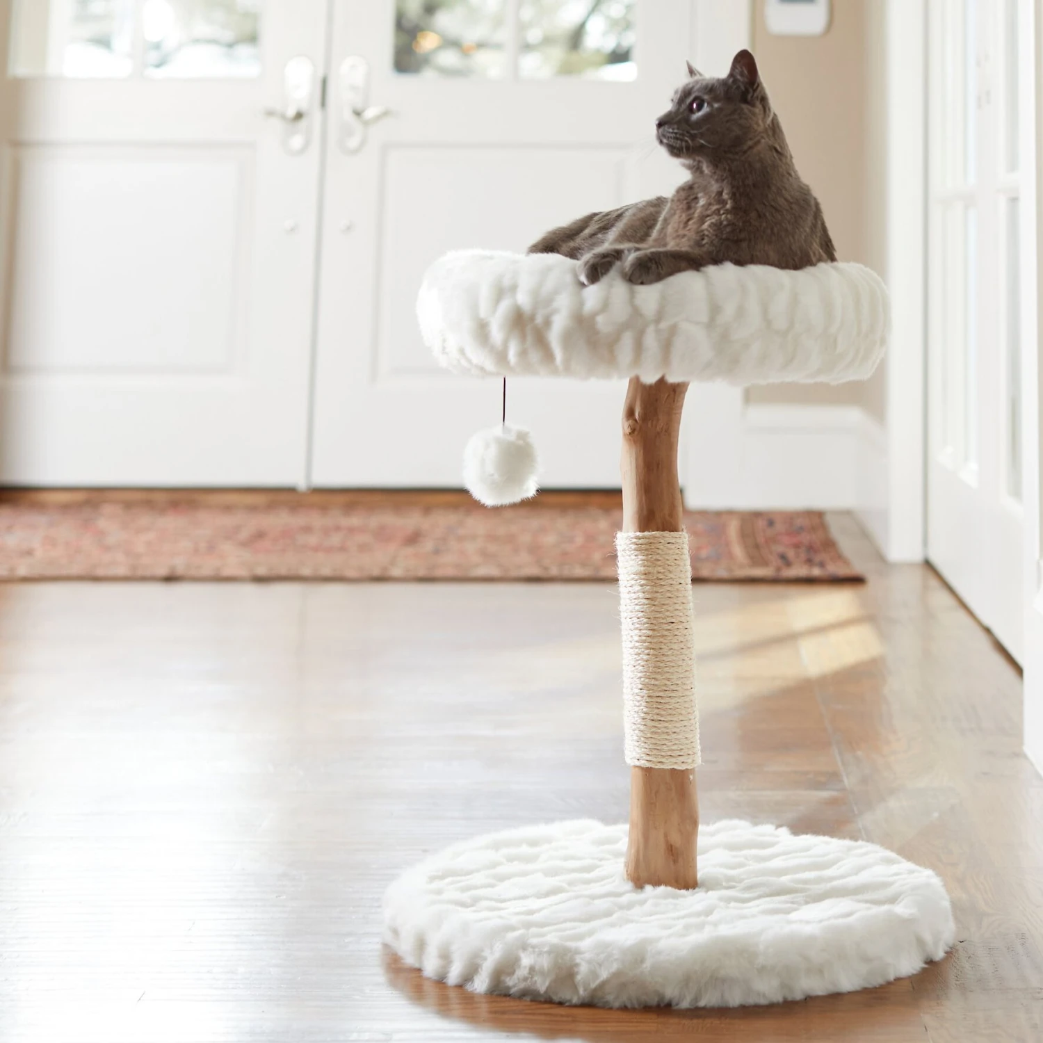 Frisco Natural Wood Modern Cat Tree with Toy, Ivory, Small Frisco Natural Wood Modern Cat Tree With Toy, Ivory, Small -Frisco Pet Hub 236559 MAIN. AC SS1800 V1616521933