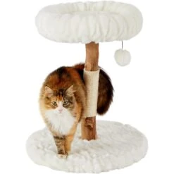Frisco Natural Wood Modern Cat Tree With Toy, Ivory, Small 2 Frisco Natural Wood Modern Cat Tree With Toy, Ivory, Small -Frisco Pet Hub 236559 PT2. AC SS1800 V1615987338