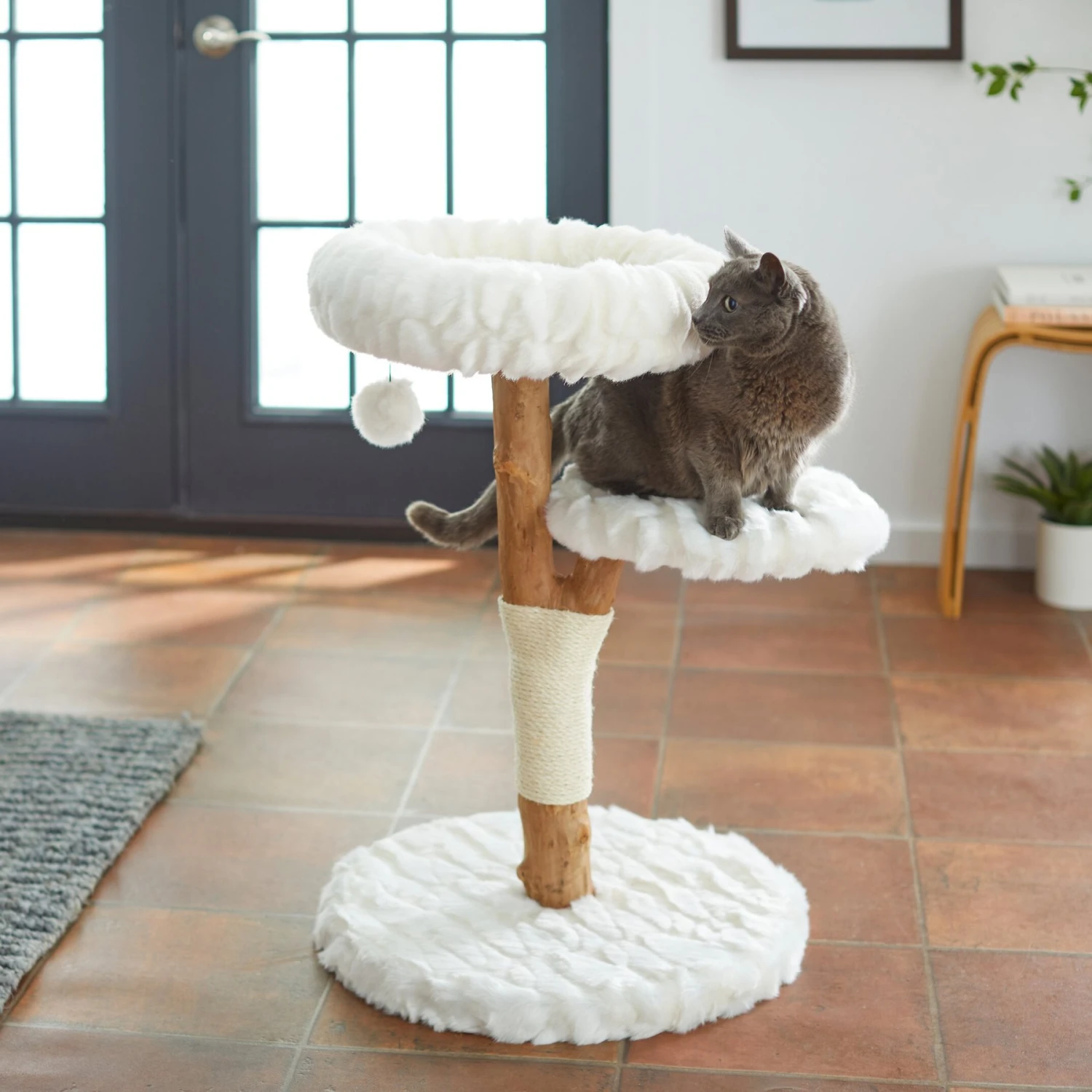 Frisco Natural Wood Modern Cat Tree with Toy, Ivory, Medium Frisco Natural Wood Modern Cat Tree With Toy, Ivory, Medium -Frisco Pet Hub 236561 MAIN. AC SS1800 V1616521947