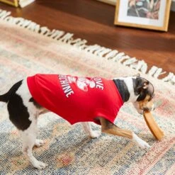 Frisco Love Machine Dog & Cat T-shirt -Frisco Pet Hub 238160 PT6. AC SS1800 V1608595661