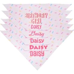 Frisco Birthday Girl Personalized Dog & Cat Bandana 4 Frisco Birthday Girl Personalized Dog & Cat Bandana -Frisco Pet Hub 238333 PT4. AC SS1800 V1618507367