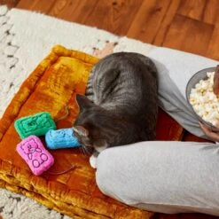 Frisco Zoomies & Chill Gummy Bear Plush Cat Toy With Catnip -Frisco Pet Hub 241715 PT6. AC SS1800 V1610768413